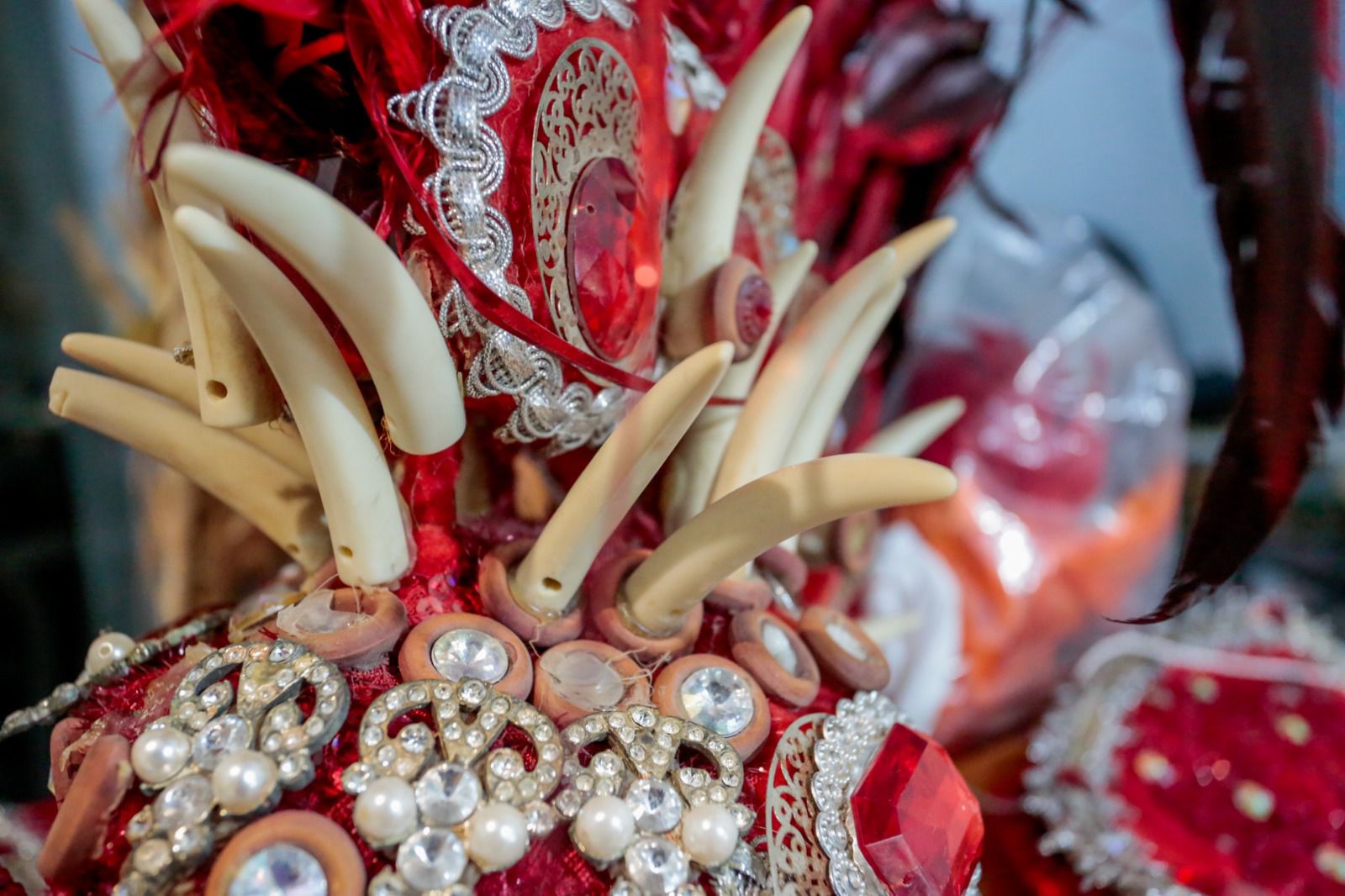 Fusão do Samba abrirá desfile de Carnaval de Joinville relembrando festas memoráveis