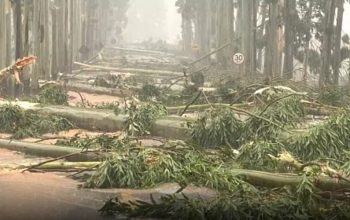 Cidade do Norte Catarinense fica destruída após chuva