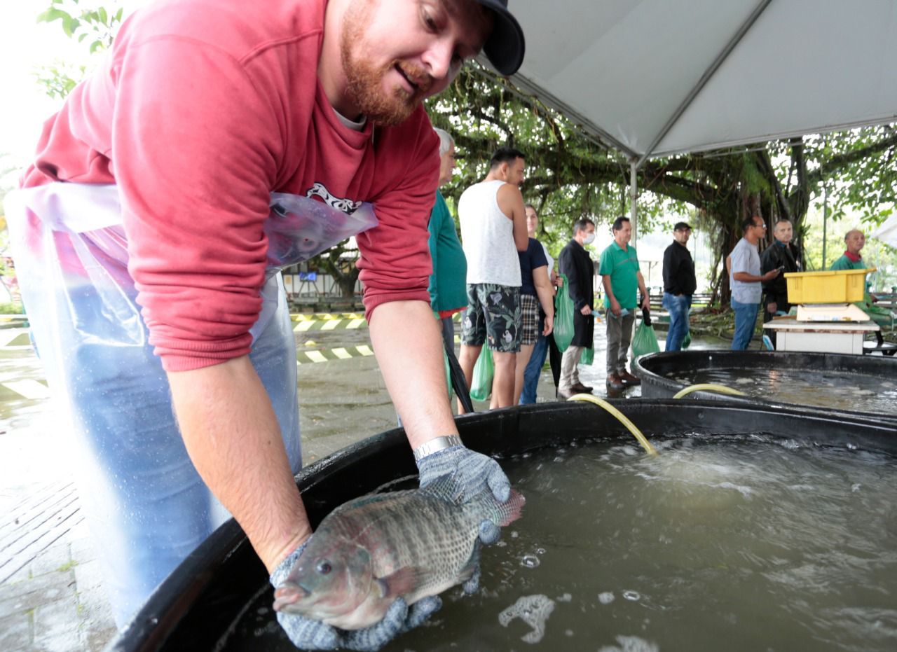 Feira do Peixe Vivo ocorre nesta quinta e sexta no Mercado Público e no Terminal do Nova Brasília
