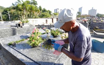 Prefeitura realiza trabalho contínuo de prevenção à dengue nos cemitérios municipais