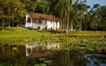 Agenda do fim de semana em Joinville tem espetáculos e exposições nos jardins dos museus