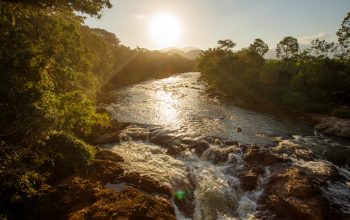 Abertas inscrições para mesa redonda sobre Políticas Públicas de Educação Ambiental