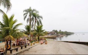 Joinville estimula o desenvolvimento social e econômico da REURB Vigorelli