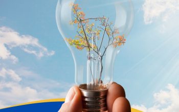 29 de maio, Dia Mundial da Energia: Confira dicas de economia da Celesc