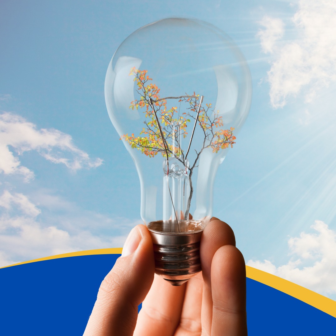 29 de maio, Dia Mundial da Energia: Confira dicas de economia da Celesc