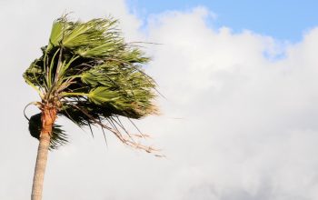 Rajadas de vento podem atingir Joinville entre quarta e quinta-feira