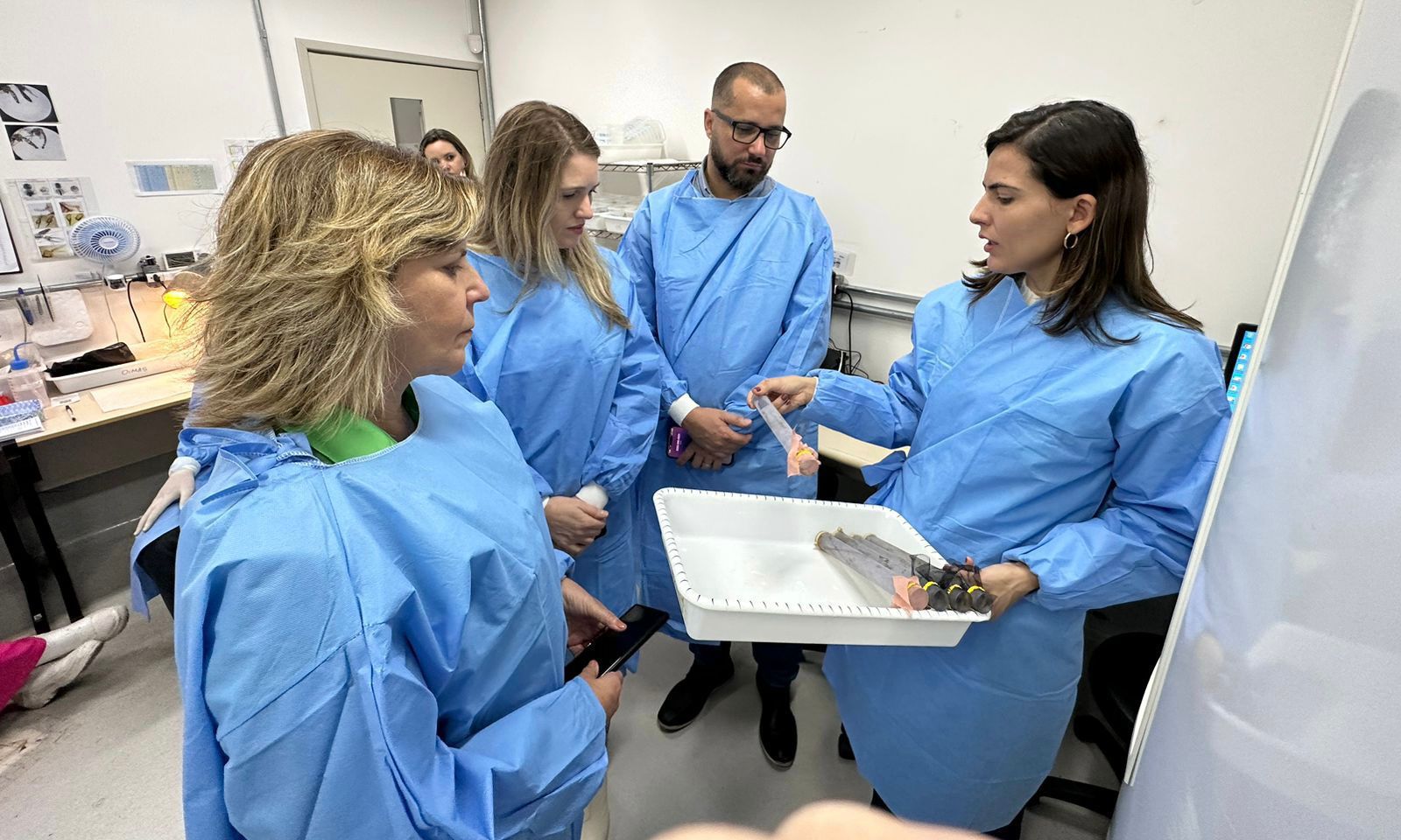 Joinville é selecionada pelo Ministério da Saúde para receber nova técnica de combate à dengue