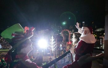 Abertura do Natal e Festa das Flores são atrações imperdíveis em Joinville nos próximos dias Abertura do Natal e Festa das Flores são atrações imperdíveis em Joinville nos próximos dias