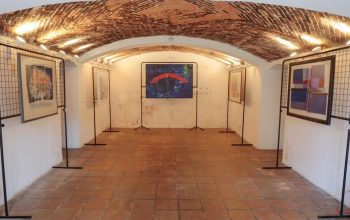 Museu de Arte de Joinville abre exposição com obras de artistas consagrados nacionalmente