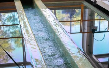 Prefeitura de Joinville segue monitorando abastecimento de água