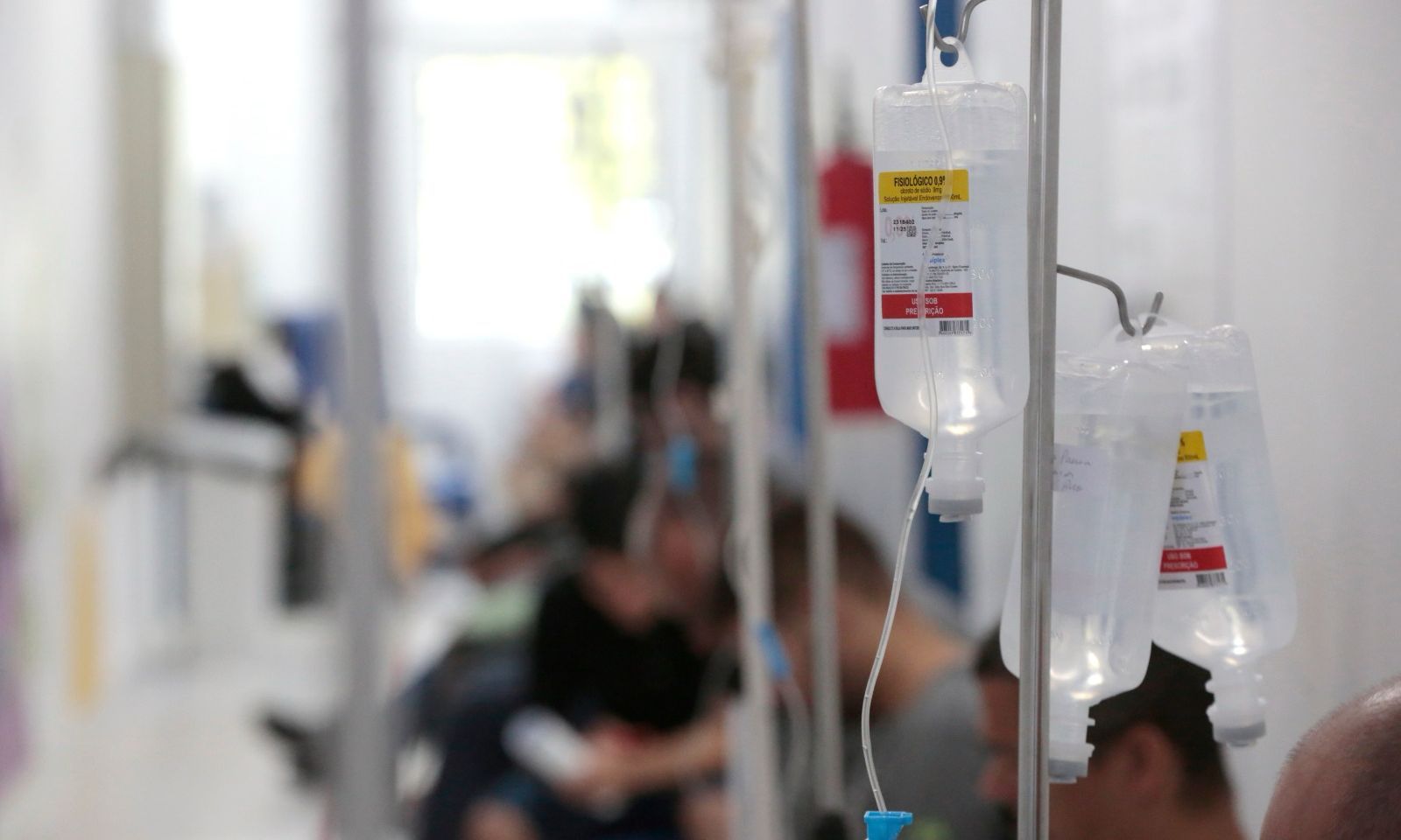 Joinville inicia preparação para abertura das Enfermarias Especializadas em Dengue