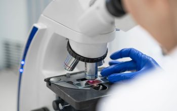 Trabalhos de implantação do método Wolbachia em Joinville entram em nova fase