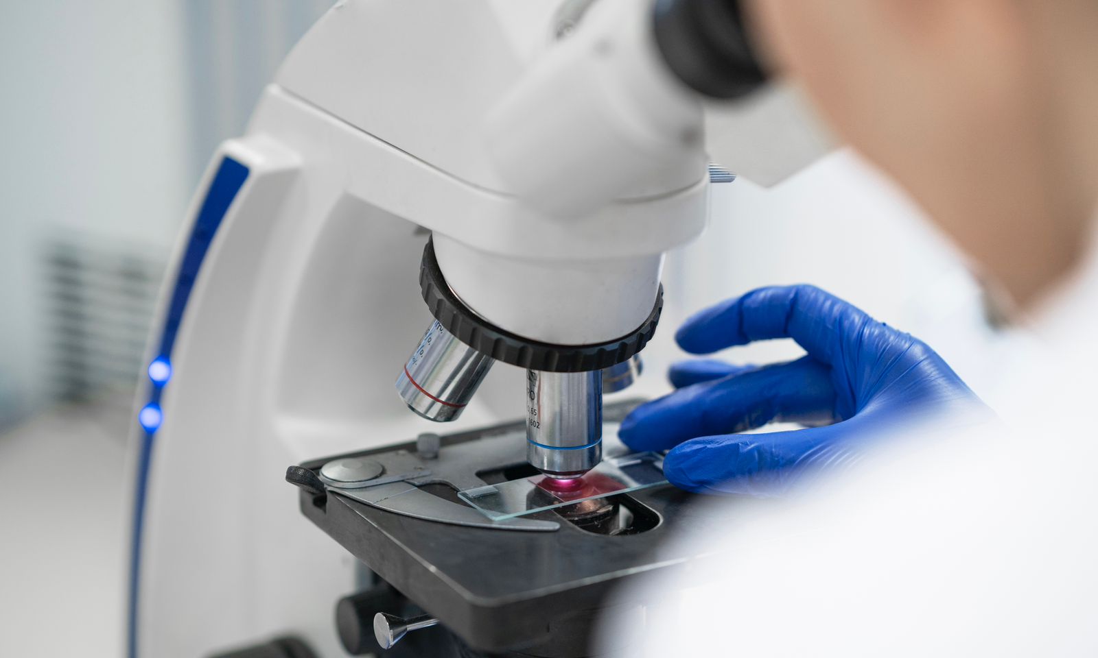 Trabalhos de implantação do método Wolbachia em Joinville entram em nova fase