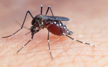 Secretaria da Saúde realiza força-tarefa para concluir investigações epidemiológicas