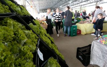 Feira Direto do Campo ocorre neste sábado, na Ceasa, em Joinville