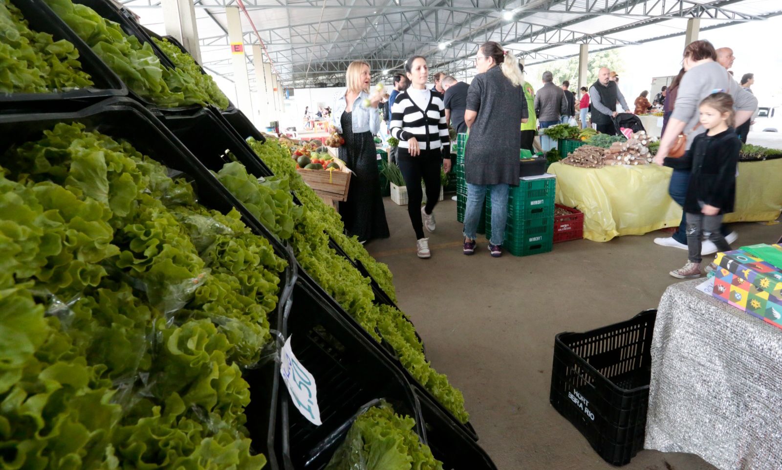 Feira Direto do Campo ocorre neste sábado, na Ceasa, em Joinville