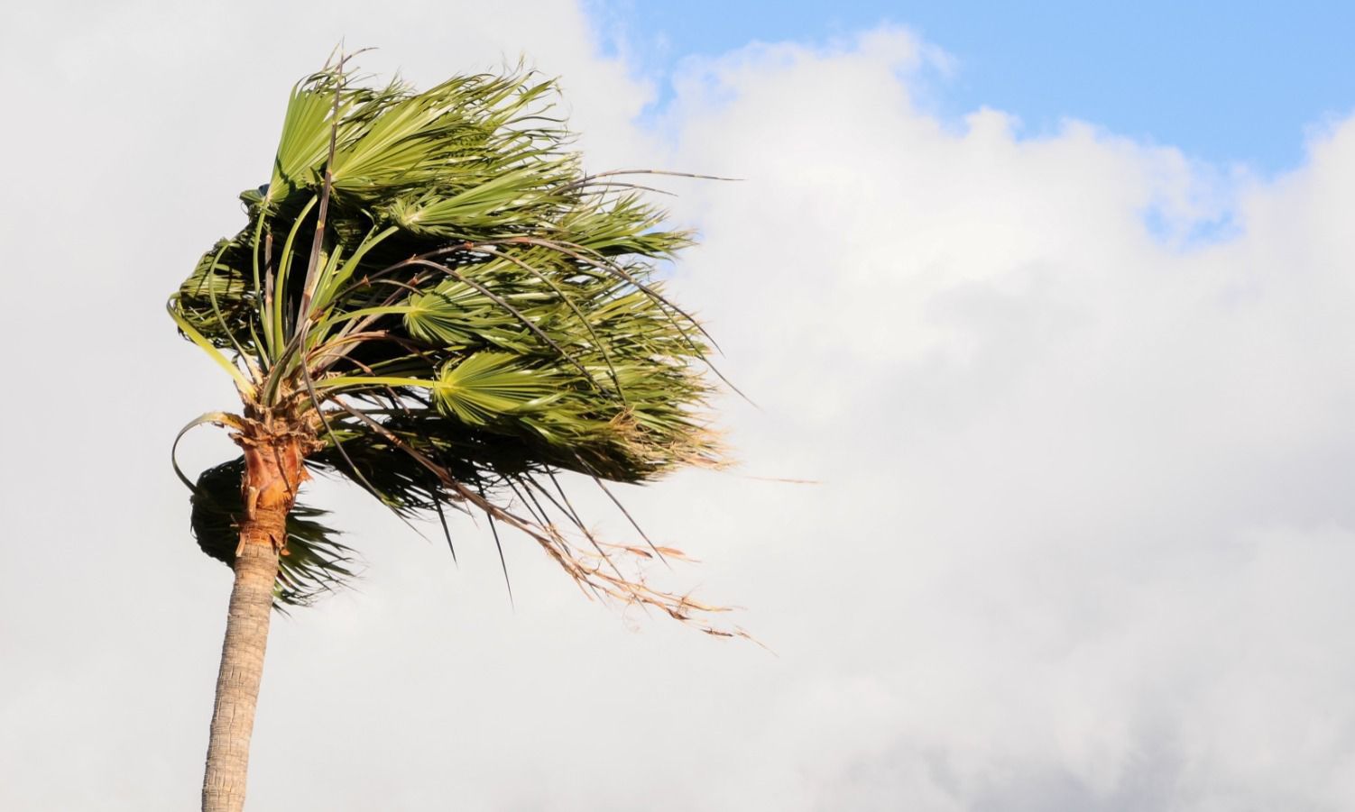 Defesa Civil de Joinville alerta para risco de maré alta e vento forte