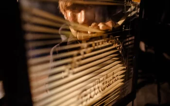 Começa a distribuição gratuita de ingressos para o 6º ANIMANECO