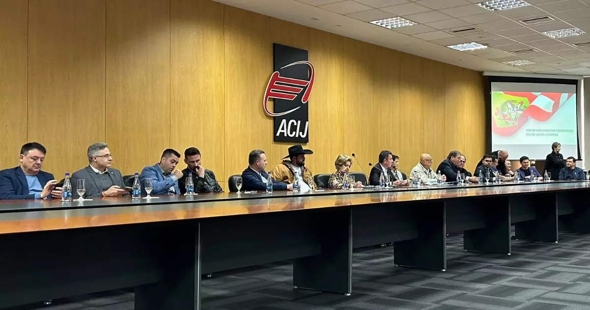 Proposta de repactuação da BR-101 prevê seis obras em Joinville