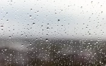 Confira a previsão do tempo para Joinville nesta quarta-feira.