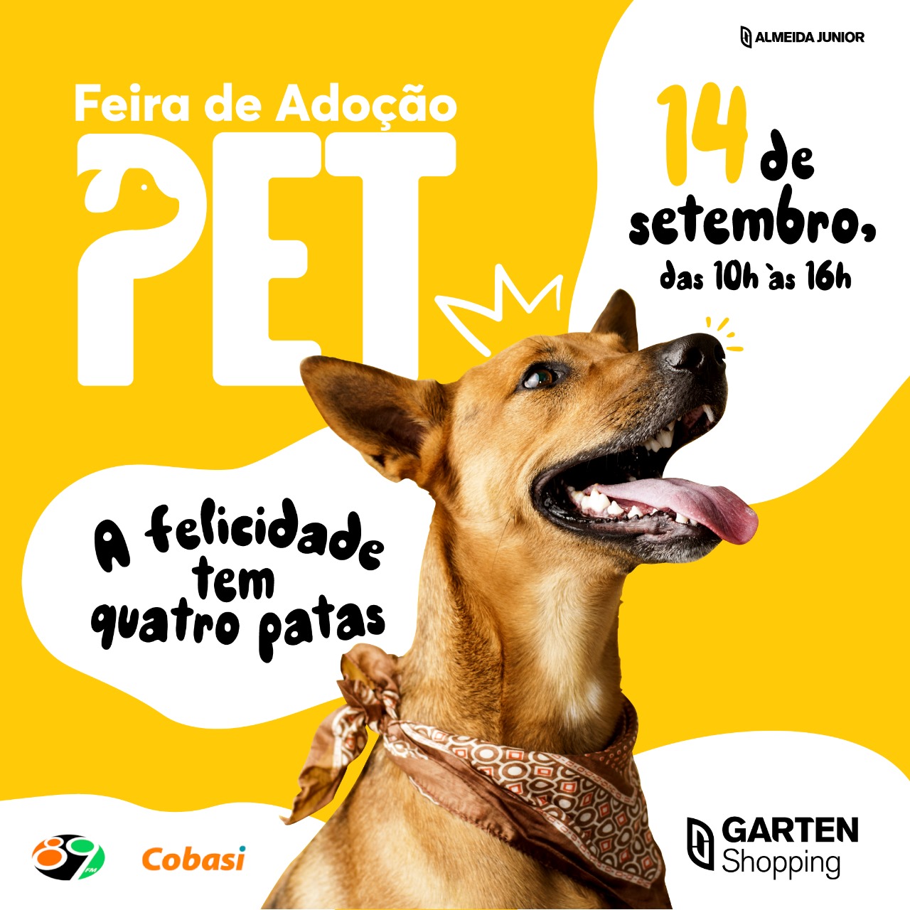 Adote um amigo: Feirinha de Adoção Pet acontece neste sábado no Garten Shopping