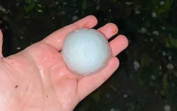Granizo atinge sete residências na zona Sul de Joinville e Defesa Civil distribui lonas